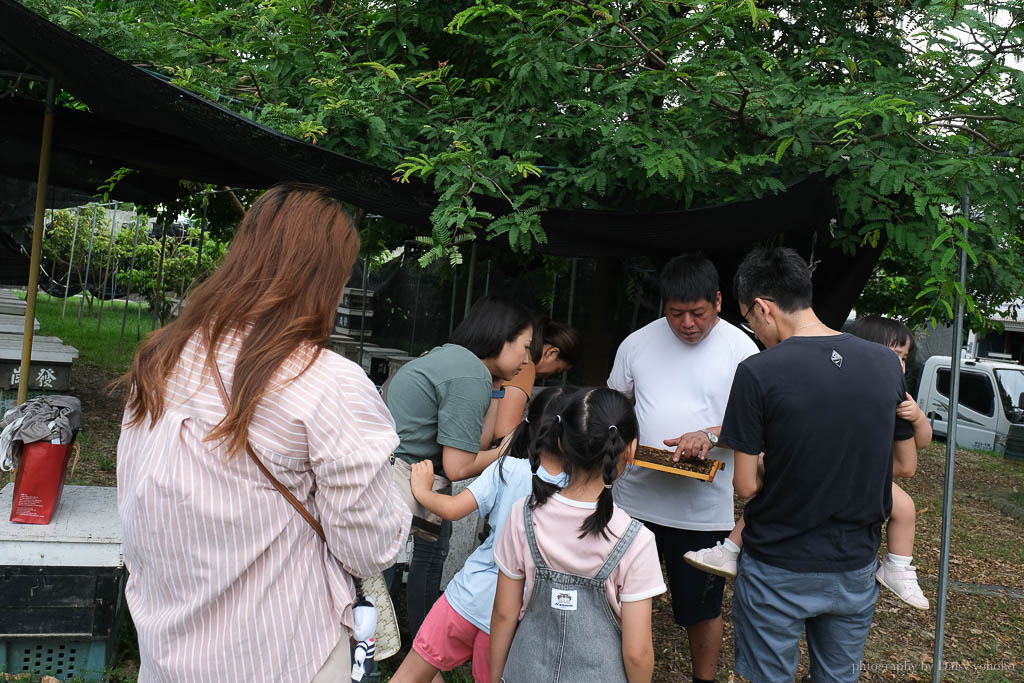 高雄阿蓮｜崗發蜂蜜養蜂人家，零距離與蜜蜂親密接觸！40年純天然蜂蜜自產自銷 @黛西優齁齁 DaisyYohoho 世界自助旅行/旅行狂/背包客/美食生活