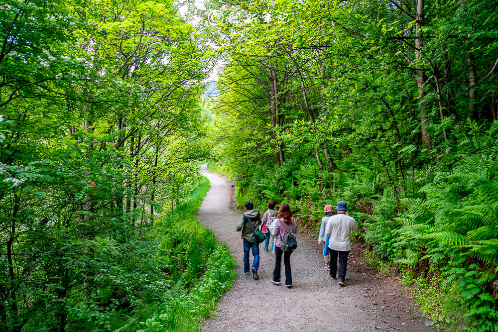 紐西蘭南島北島之旅，皇后鎮、庫克山隱士廬、毛利文化村、米佛峽灣全收錄