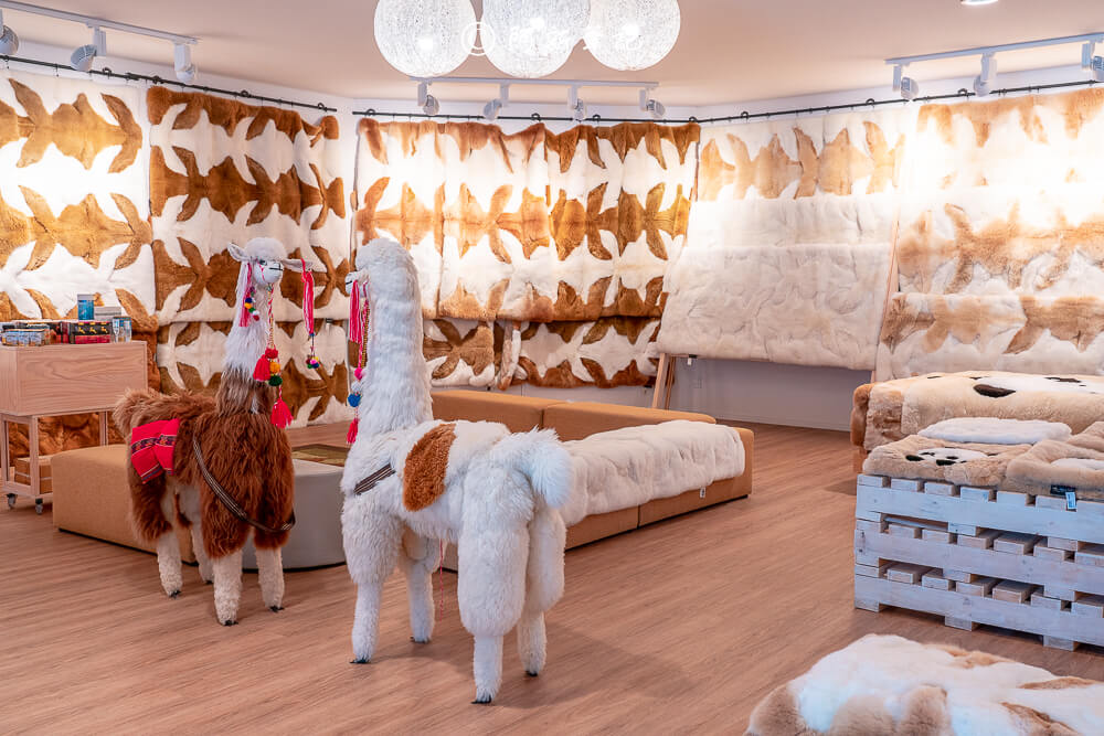 紐西蘭南島北島之旅，皇后鎮、庫克山隱士廬、毛利文化村、米佛峽灣全收錄