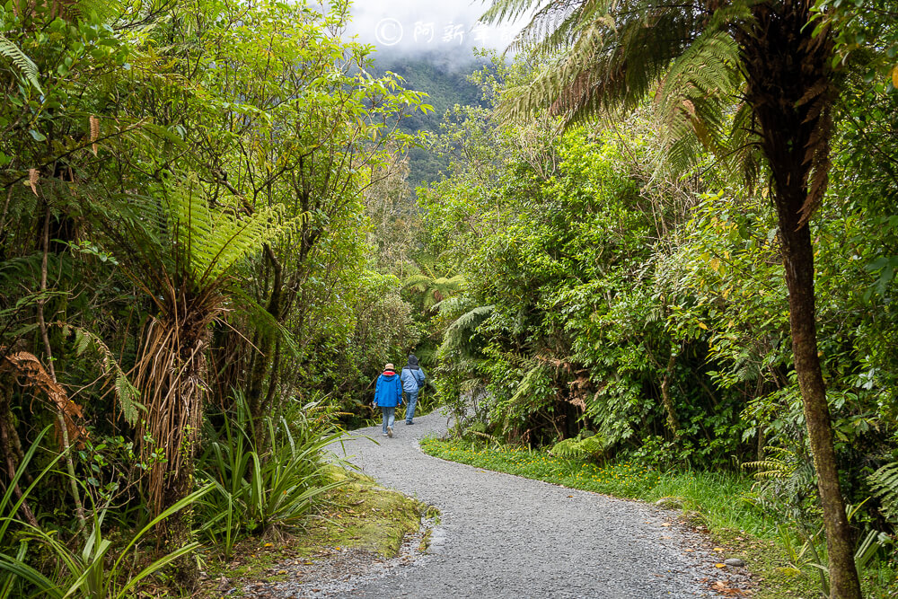 紐西蘭南島北島之旅，皇后鎮、庫克山隱士廬、毛利文化村、米佛峽灣全收錄