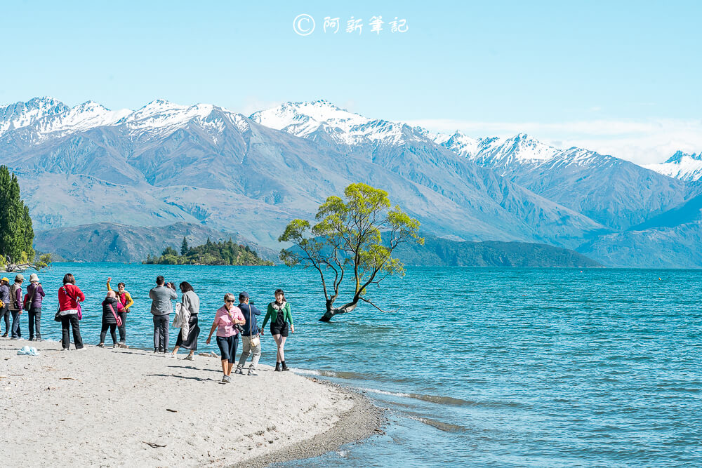 紐西蘭南島北島之旅，皇后鎮、庫克山隱士廬、毛利文化村、米佛峽灣全收錄