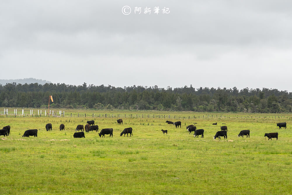 紐西蘭南島北島之旅，皇后鎮、庫克山隱士廬、毛利文化村、米佛峽灣全收錄