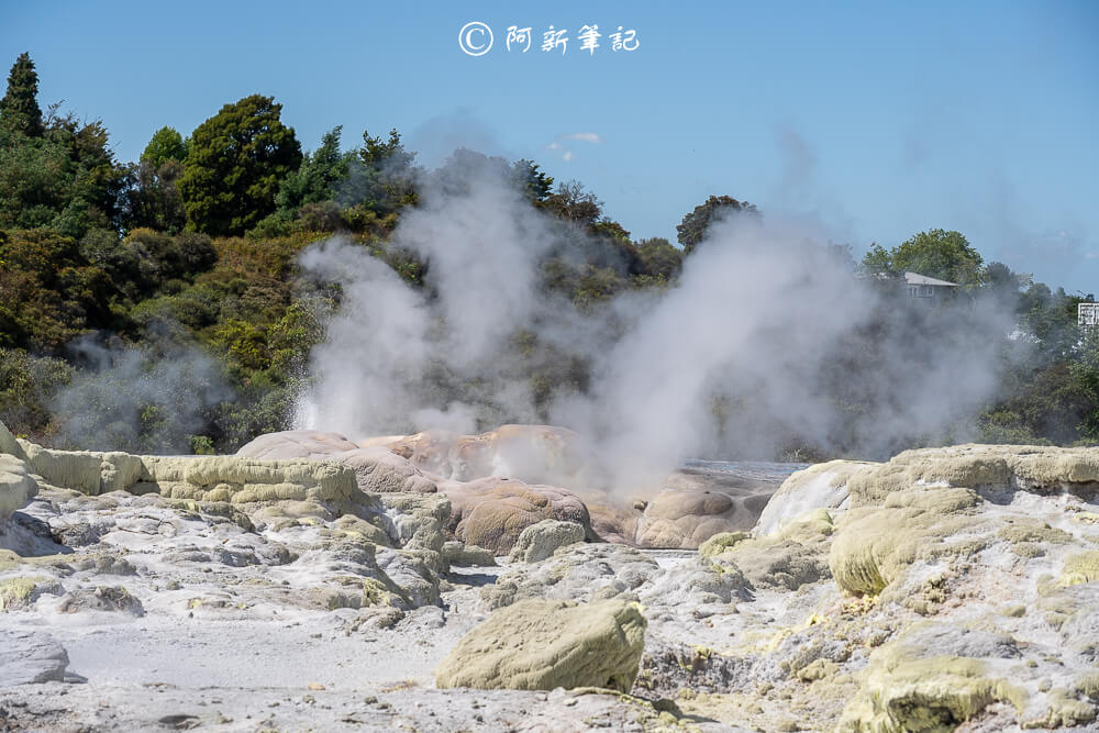 紐西蘭南島北島之旅，皇后鎮、庫克山隱士廬、毛利文化村、米佛峽灣全收錄