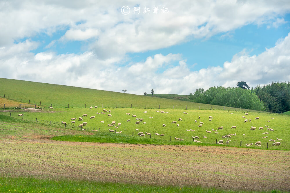 紐西蘭南島北島之旅，皇后鎮、庫克山隱士廬、毛利文化村、米佛峽灣全收錄