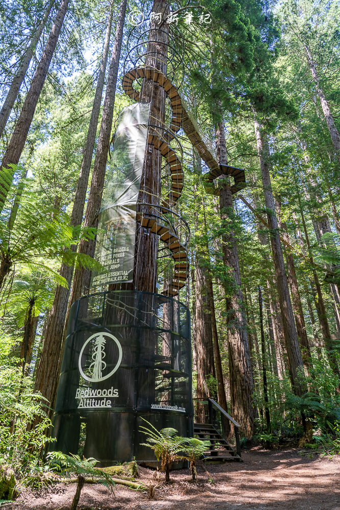 紐西蘭南島北島之旅，皇后鎮、庫克山隱士廬、毛利文化村、米佛峽灣全收錄