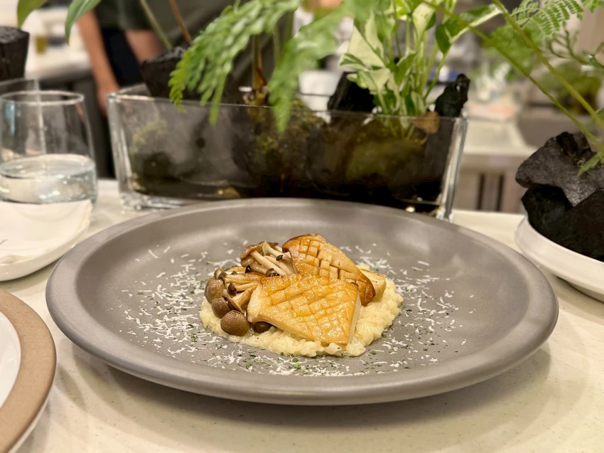 【台北高級餐廳推薦】rooTi在台北永康街遇見歐洲，健康美味地中海飲食特色餐廳，還有大小提琴鋼琴現場演奏...