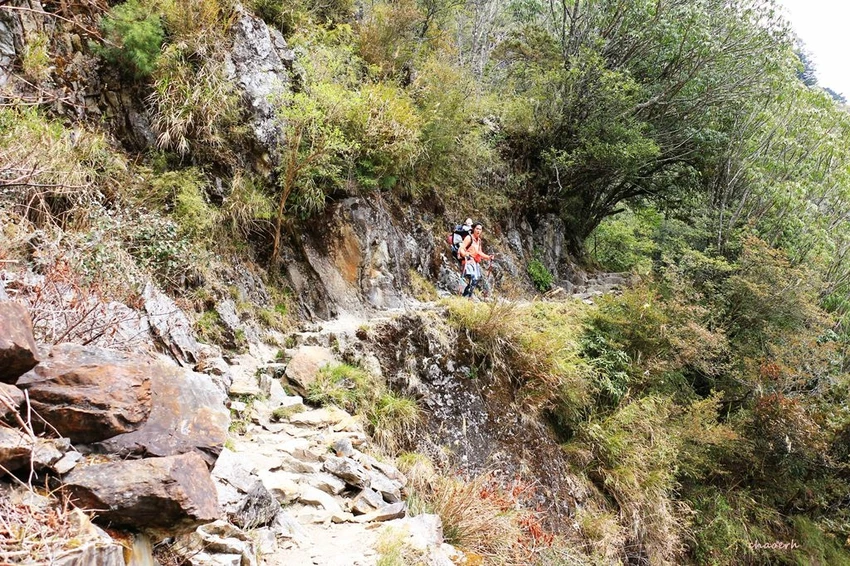 【百岳】玉山前峰(二刷)一日單攻《 3個小隊友(3歲7歲 【百岳】玉山前峰(二刷)一日單攻《 3個小隊友(3歲7歲