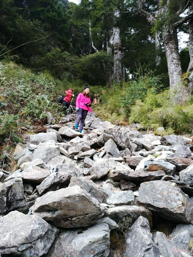 【百岳】玉山前峰(二刷)一日單攻《 3個小隊友(3歲7歲 【百岳】玉山前峰(二刷)一日單攻《 3個小隊友(3歲7歲