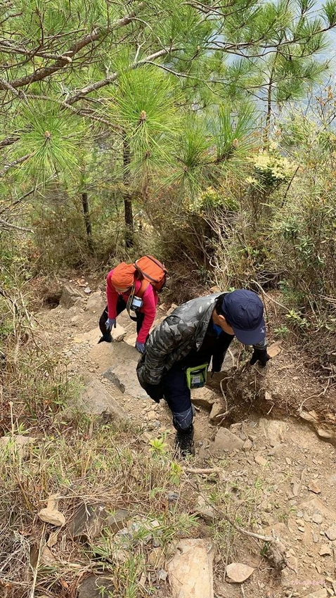 【百岳】玉山前峰(二刷)一日單攻《 3個小隊友(3歲7歲 【百岳】玉山前峰(二刷)一日單攻《 3個小隊友(3歲7歲