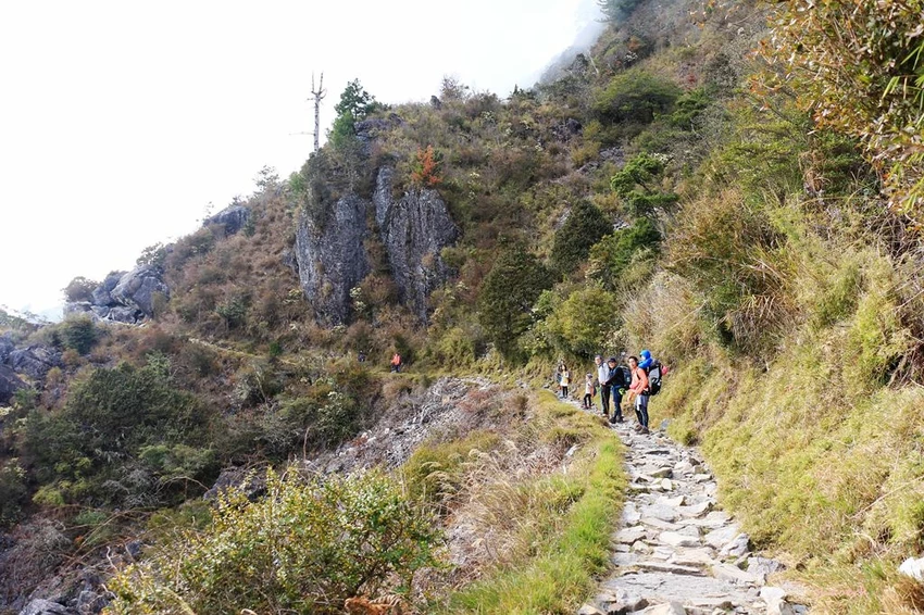 【百岳】玉山前峰(二刷)一日單攻《 3個小隊友(3歲7歲 【百岳】玉山前峰(二刷)一日單攻《 3個小隊友(3歲7歲