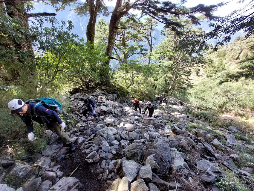 【百岳】玉山前峰(二刷)一日單攻《 3個小隊友(3歲7歲 【百岳】玉山前峰(二刷)一日單攻《 3個小隊友(3歲7歲