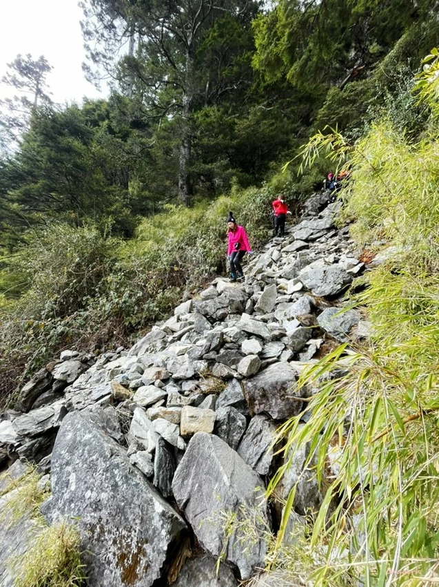 【百岳】玉山前峰(二刷)一日單攻《 3個小隊友(3歲7歲 【百岳】玉山前峰(二刷)一日單攻《 3個小隊友(3歲7歲