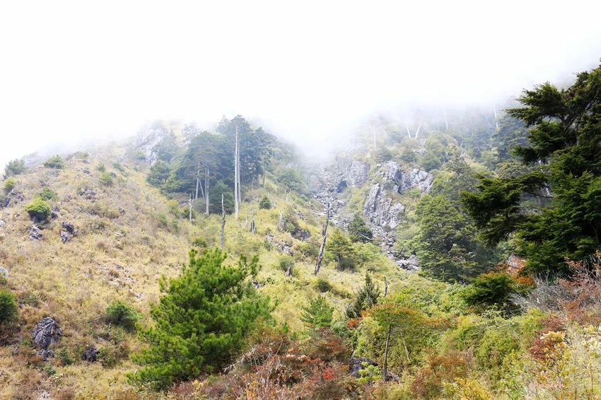 【百岳】玉山前峰(二刷)一日單攻《 3個小隊友(3歲7歲 【百岳】玉山前峰(二刷)一日單攻《 3個小隊友(3歲7歲