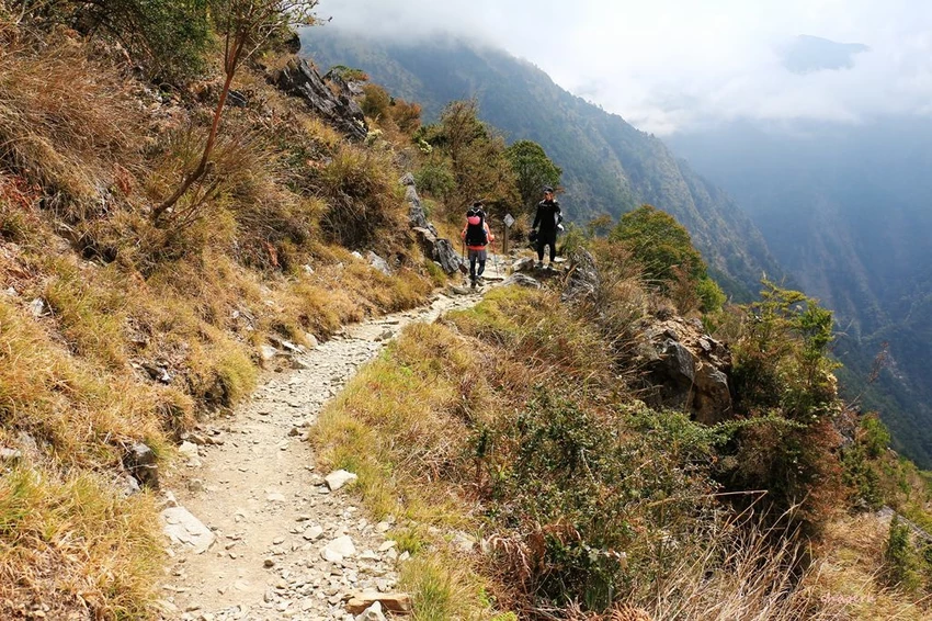 【百岳】玉山前峰(二刷)一日單攻《 3個小隊友(3歲7歲 【百岳】玉山前峰(二刷)一日單攻《 3個小隊友(3歲7歲