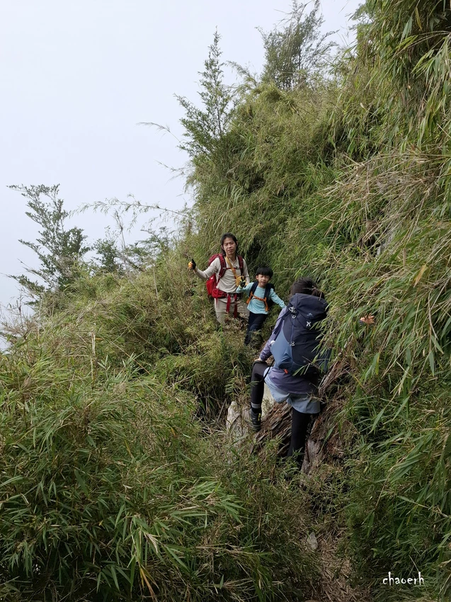 【百岳】玉山前峰(二刷)一日單攻《 3個小隊友(3歲7歲 【百岳】玉山前峰(二刷)一日單攻《 3個小隊友(3歲7歲