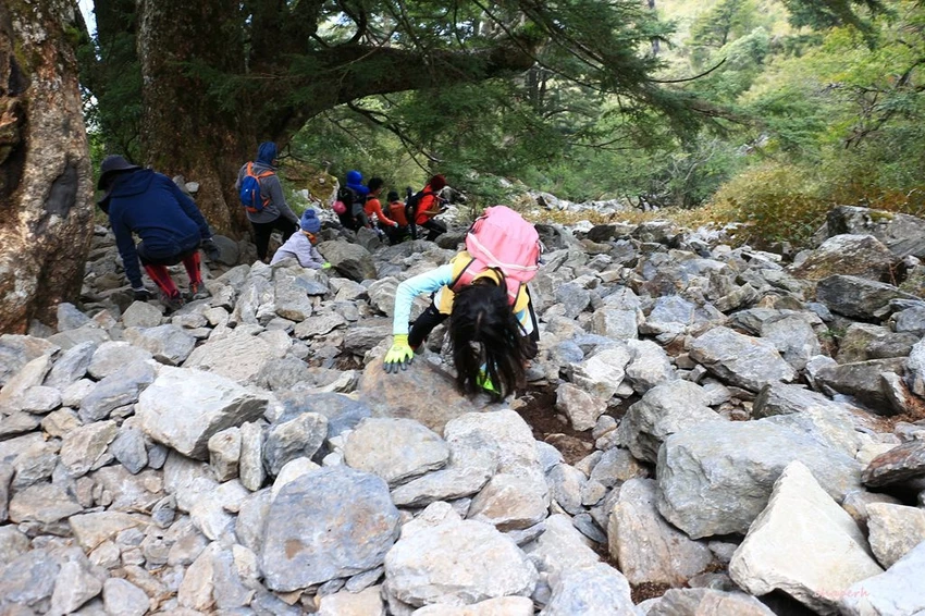 【百岳】玉山前峰(二刷)一日單攻《 3個小隊友(3歲7歲 【百岳】玉山前峰(二刷)一日單攻《 3個小隊友(3歲7歲