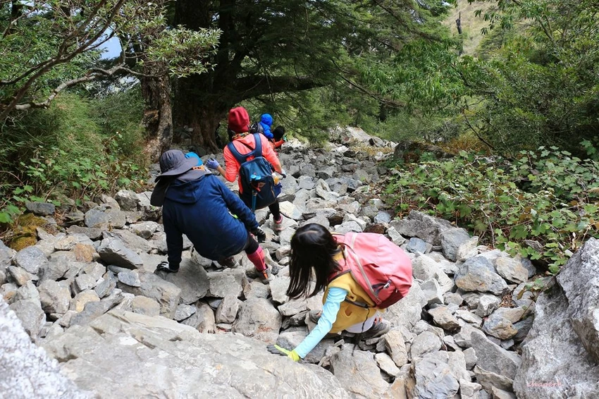 【百岳】玉山前峰(二刷)一日單攻《 3個小隊友(3歲7歲 【百岳】玉山前峰(二刷)一日單攻《 3個小隊友(3歲7歲