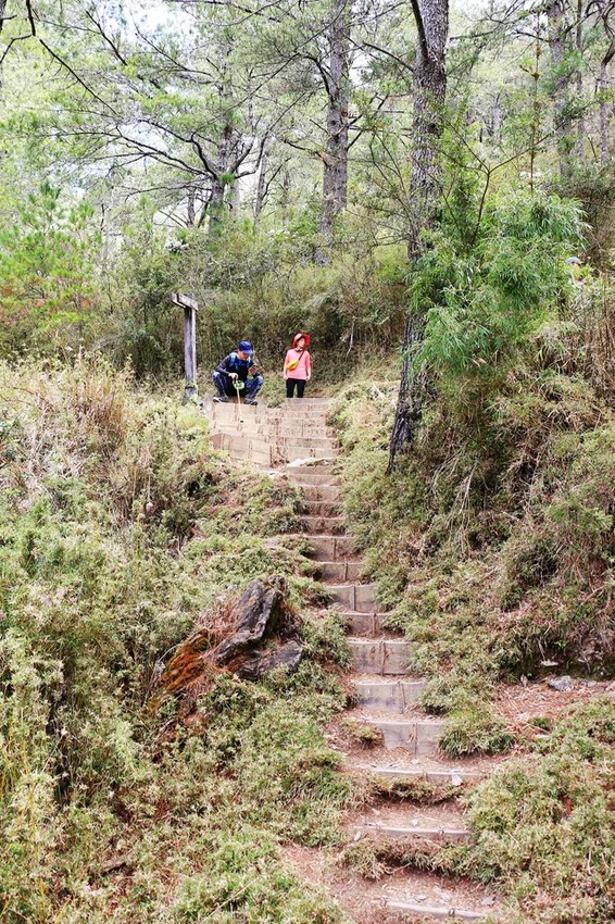 【百岳】玉山前峰(二刷)一日單攻《 3個小隊友(3歲7歲 【百岳】玉山前峰(二刷)一日單攻《 3個小隊友(3歲7歲