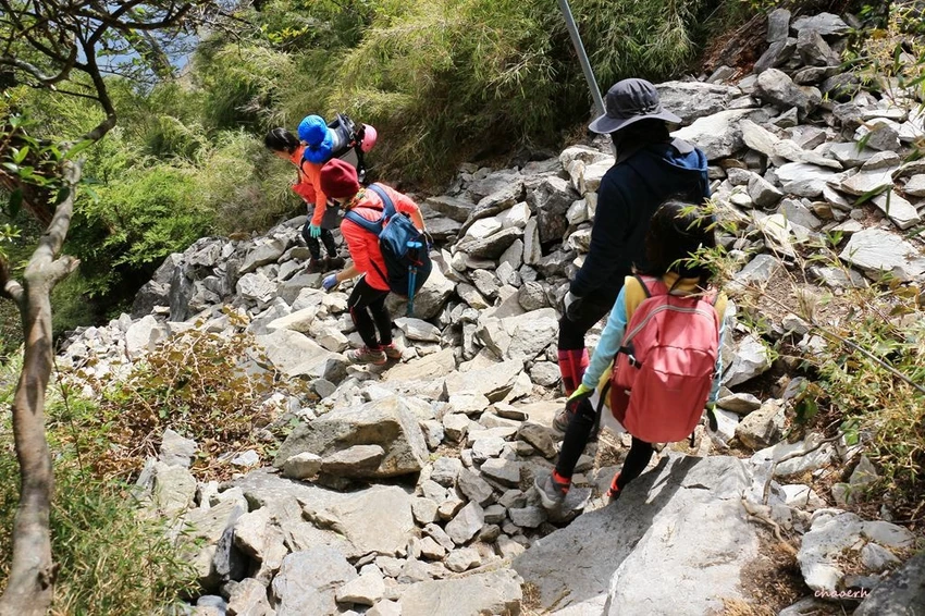 【百岳】玉山前峰(二刷)一日單攻《 3個小隊友(3歲7歲 【百岳】玉山前峰(二刷)一日單攻《 3個小隊友(3歲7歲