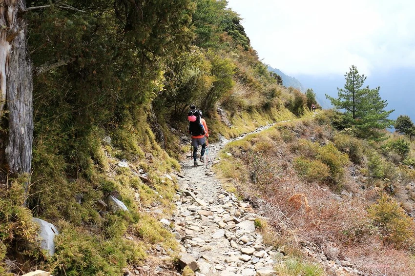 【百岳】玉山前峰(二刷)一日單攻《 3個小隊友(3歲7歲 【百岳】玉山前峰(二刷)一日單攻《 3個小隊友(3歲7歲