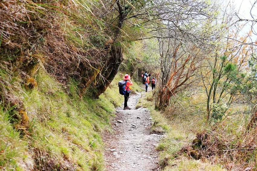 【百岳】玉山前峰(二刷)一日單攻《 3個小隊友(3歲7歲 【百岳】玉山前峰(二刷)一日單攻《 3個小隊友(3歲7歲