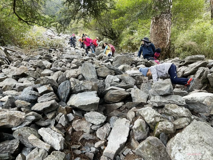 【百岳】玉山前峰(二刷)一日單攻《 3個小隊友(3歲7歲 【百岳】玉山前峰(二刷)一日單攻《 3個小隊友(3歲7歲