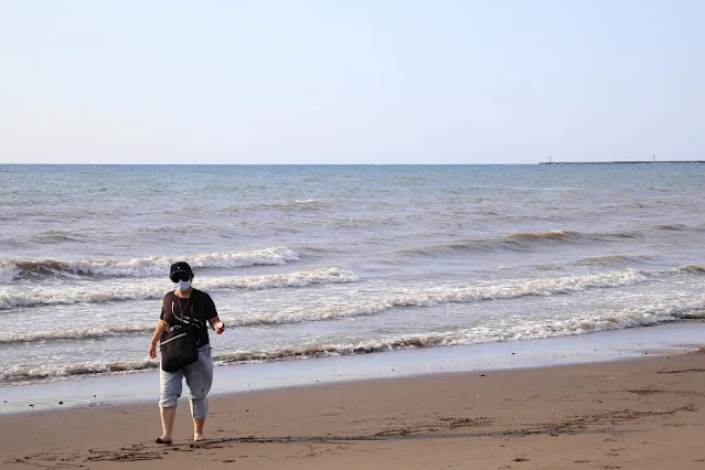 新屋濱海林蔭沙洲 (西濱公路) 新屋濱海林蔭沙洲 (西濱公路)