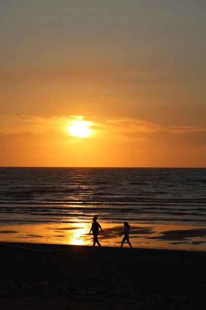 新屋濱海林蔭沙洲 (西濱公路) - 夕陽 - 情侶 新屋濱海林蔭沙洲 (西濱公路) - 夕陽 - 情侶