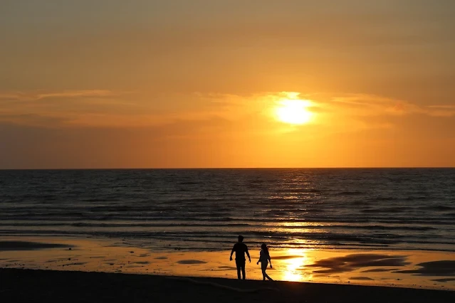新屋濱海林蔭沙洲 (西濱公路) - 夕陽 - 情侶 新屋濱海林蔭沙洲 (西濱公路) - 夕陽 - 情侶