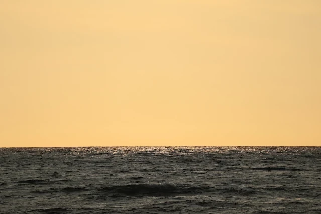 新屋濱海林蔭沙洲 (西濱公路) 新屋濱海林蔭沙洲 (西濱公路)