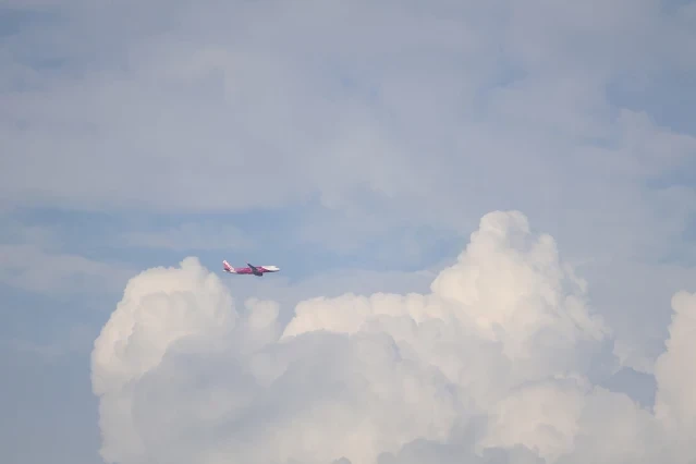 新屋濱海林蔭沙洲 (西濱公路) 新屋濱海林蔭沙洲 (西濱公路)