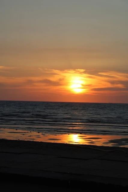 新屋濱海林蔭沙洲 (西濱公路) - 夕陽 - 太陽 新屋濱海林蔭沙洲 (西濱公路) - 夕陽 - 太陽