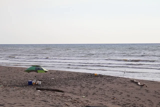 新屋濱海林蔭沙洲 (西濱公路) 新屋濱海林蔭沙洲 (西濱公路)