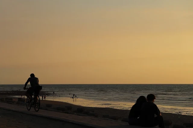 新屋濱海林蔭沙洲 (西濱公路) - 夕陽 新屋濱海林蔭沙洲 (西濱公路) - 夕陽