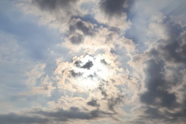 新屋濱海林蔭沙洲 (西濱公路) 新屋濱海林蔭沙洲 (西濱公路)