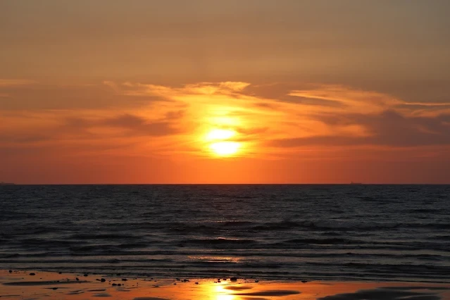 新屋濱海林蔭沙洲 (西濱公路) - 夕陽 - 太陽 新屋濱海林蔭沙洲 (西濱公路) - 夕陽 - 太陽