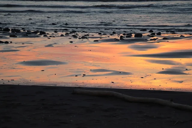 新屋濱海林蔭沙洲 (西濱公路) - 夕陽 - 沙灘 新屋濱海林蔭沙洲 (西濱公路) - 夕陽 - 沙灘