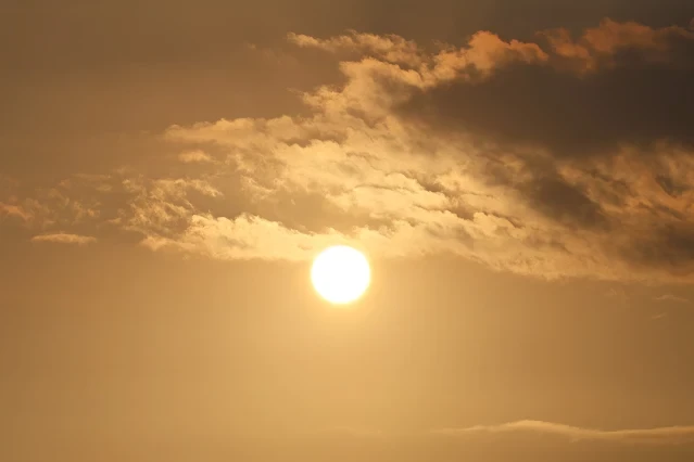 新屋濱海林蔭沙洲 (西濱公路) - 夕陽 - 太陽 新屋濱海林蔭沙洲 (西濱公路) - 夕陽 - 太陽