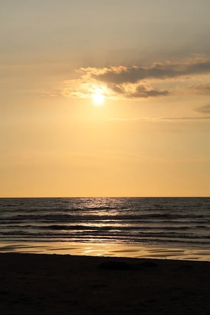 新屋濱海林蔭沙洲 (西濱公路) - 夕陽 - 太陽 新屋濱海林蔭沙洲 (西濱公路) - 夕陽 - 太陽