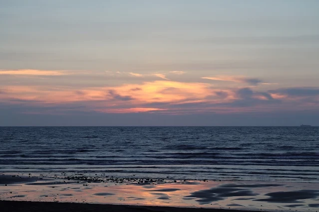 新屋濱海林蔭沙洲 (西濱公路) - 夕陽 新屋濱海林蔭沙洲 (西濱公路) - 夕陽