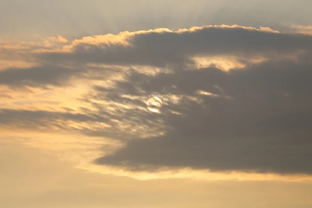 新屋濱海林蔭沙洲 (西濱公路) - 夕陽 - 太陽 新屋濱海林蔭沙洲 (西濱公路) - 夕陽 - 太陽
