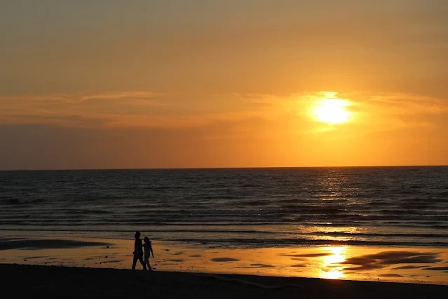 新屋濱海林蔭沙洲 (西濱公路) - 夕陽 - 情侶 新屋濱海林蔭沙洲 (西濱公路) - 夕陽 - 情侶