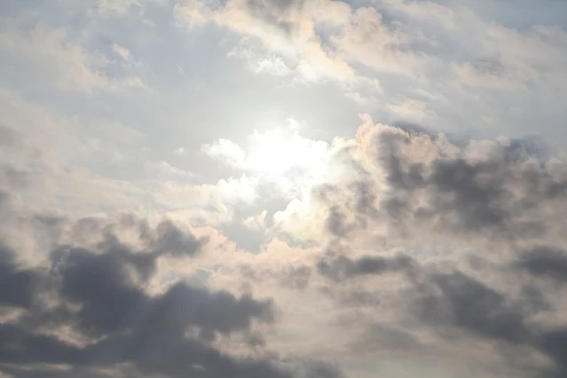 新屋濱海林蔭沙洲 (西濱公路) 新屋濱海林蔭沙洲 (西濱公路)