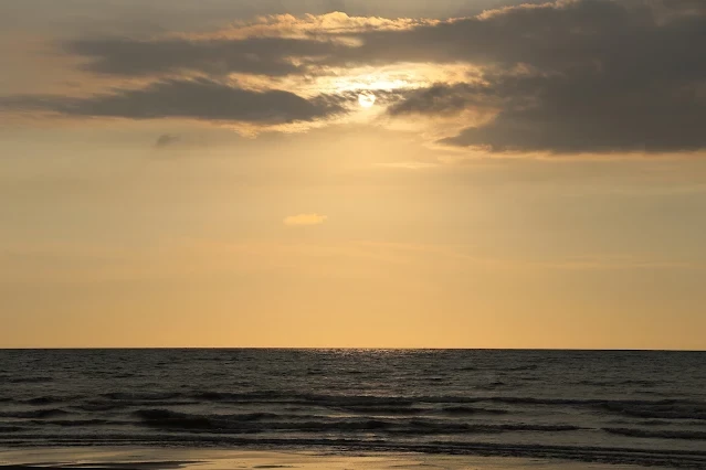新屋濱海林蔭沙洲 (西濱公路) - 夕陽 - 太陽 新屋濱海林蔭沙洲 (西濱公路) - 夕陽 - 太陽