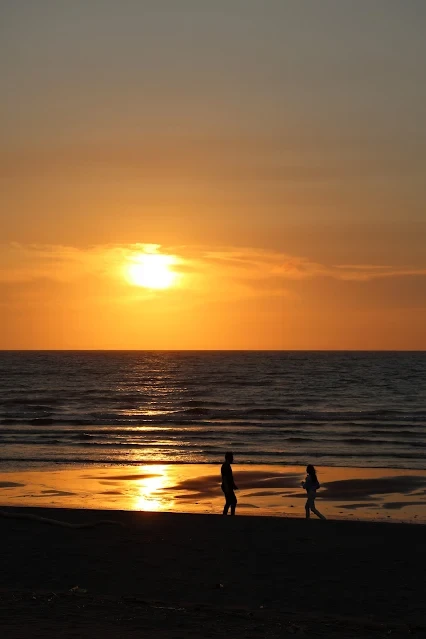 新屋濱海林蔭沙洲 (西濱公路) - 夕陽 - 情侶 新屋濱海林蔭沙洲 (西濱公路) - 夕陽 - 情侶