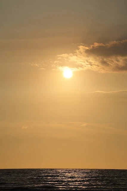 新屋濱海林蔭沙洲 (西濱公路) - 夕陽 - 太陽 新屋濱海林蔭沙洲 (西濱公路) - 夕陽 - 太陽