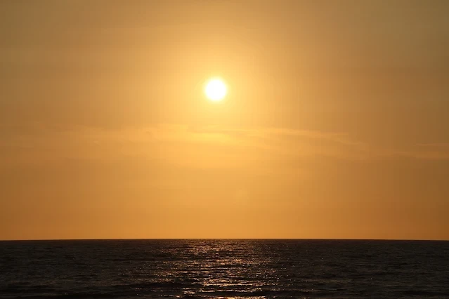 新屋濱海林蔭沙洲 (西濱公路) - 夕陽 - 太陽 新屋濱海林蔭沙洲 (西濱公路) - 夕陽 - 太陽