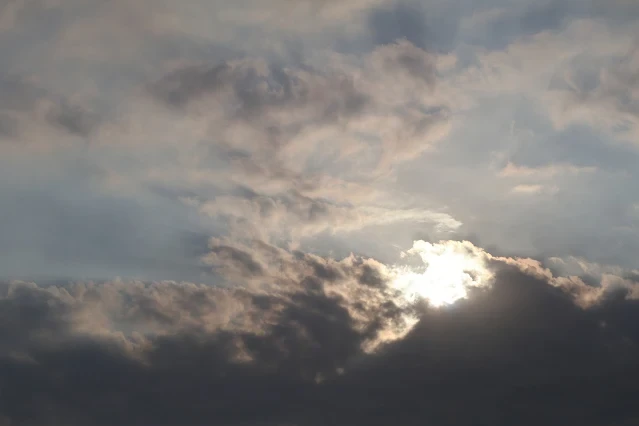 新屋濱海林蔭沙洲 (西濱公路) 新屋濱海林蔭沙洲 (西濱公路)