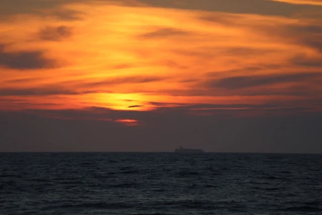 新屋濱海林蔭沙洲 (西濱公路) - 夕陽 - 貨輪 新屋濱海林蔭沙洲 (西濱公路) - 夕陽 - 貨輪