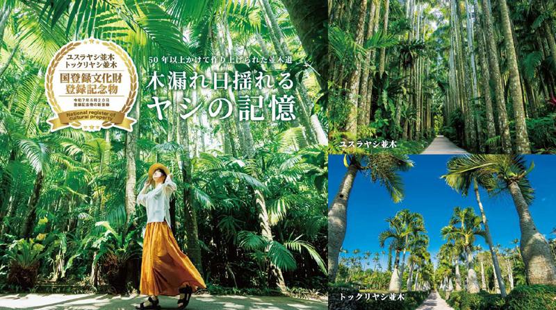 日本夜景觀光嘉年華 2025 in TAIWAN @Bernice的隨手筆記